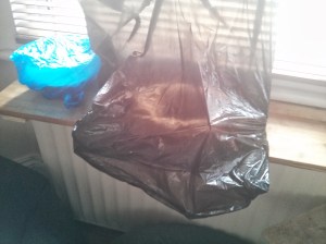 Bin bag