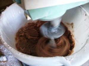 CameraZOOM-20130719181423768