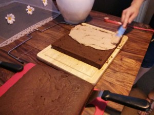 CameraZOOM-20130719182326282