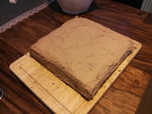 CameraZOOM-20130719183044818