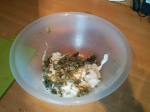 CameraZOOM-20130803183718550