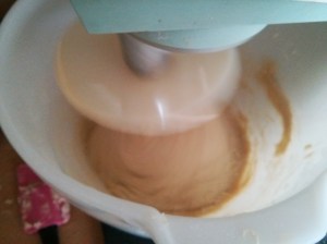 CameraZOOM-20130808180050185