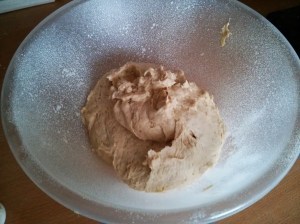 CameraZOOM-20130808181255958