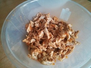 CameraZOOM-20130810185236845