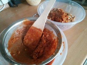 CameraZOOM-20130810185548951