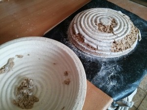 CameraZOOM-20130811110822490