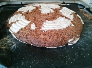 CameraZOOM-20130811121015923