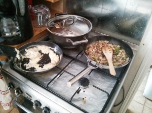 CameraZOOM-20130817115745525