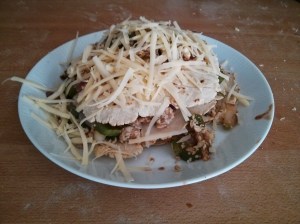 CameraZOOM-20130817120404331