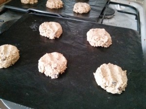 CameraZOOM-20130818153201759