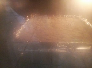 CameraZOOM-20130914110645691