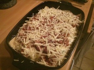 CameraZOOM-20130921192607475