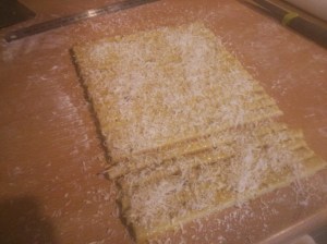 CameraZOOM-20130922175322248