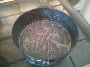 CameraZOOM-20130927103741052