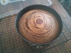 CameraZOOM-20130927115958795