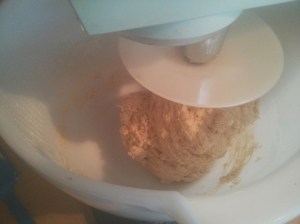 CameraZOOM-20131005102428334