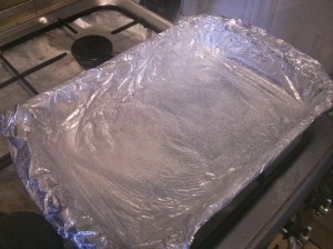 CameraZOOM-20131006075352614