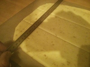 CameraZOOM-20131007200913265