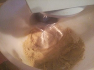 CameraZOOM-20131013171132274