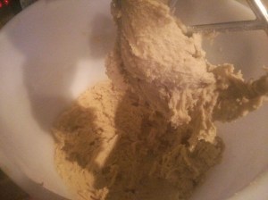 CameraZOOM-20131013171716234