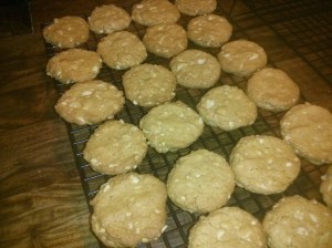 CameraZOOM-20131013190445511