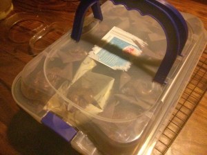 CameraZOOM-20131021213043111