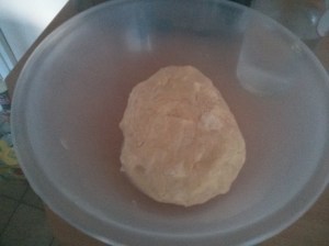 CameraZOOM-20131027123758701