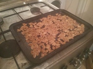 CameraZOOM-20131029170537249