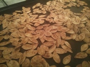 CameraZOOM-20131029172408215