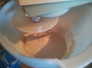 CameraZOOM-20131103093221804