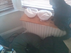 CameraZOOM-20131103100925934