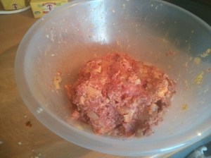 CameraZOOM-20131103105411919