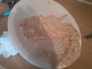 CameraZOOM-20131103130418474