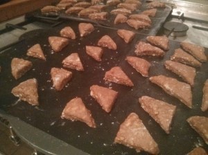 CameraZOOM-20131103182346136