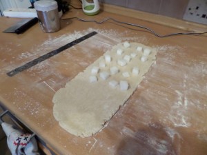 SAMSUNG CAMERA PICTURES