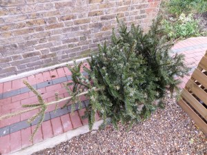 SAMSUNG CAMERA PICTURES