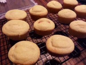 SAMSUNG CAMERA PICTURES