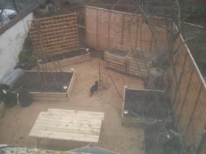 CameraZOOM-20140212105724980