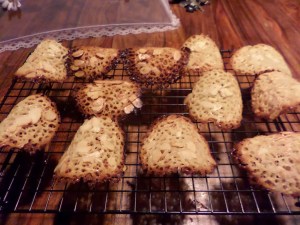 SAMSUNG CAMERA PICTURES