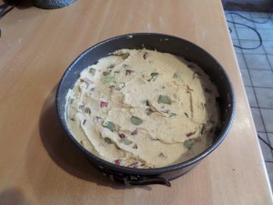 SAMSUNG CAMERA PICTURES