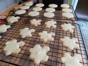 SAMSUNG CAMERA PICTURES