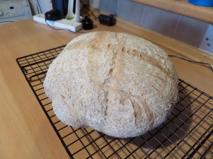 SAMSUNG CAMERA PICTURES