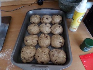 SAMSUNG CAMERA PICTURES