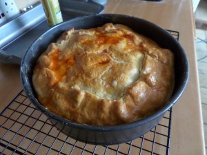 SAMSUNG CAMERA PICTURES