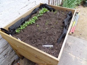 SAMSUNG CAMERA PICTURES