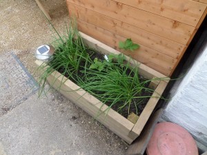 SAMSUNG CAMERA PICTURES