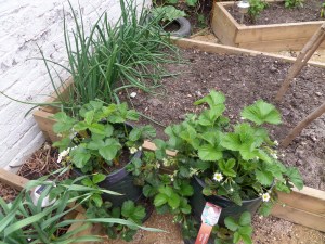 SAMSUNG CAMERA PICTURES