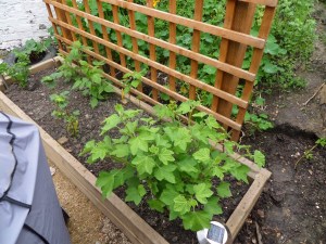 SAMSUNG CAMERA PICTURES