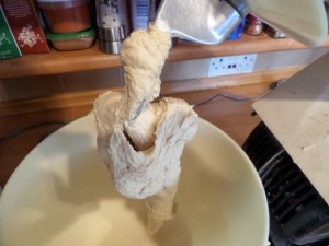 SAMSUNG CAMERA PICTURES