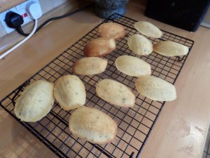 SAMSUNG CAMERA PICTURES